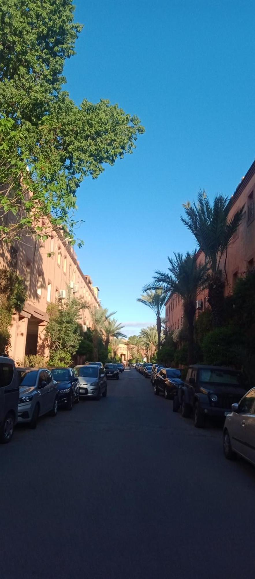Riad Al-Bushra マラケシュ エクステリア 写真