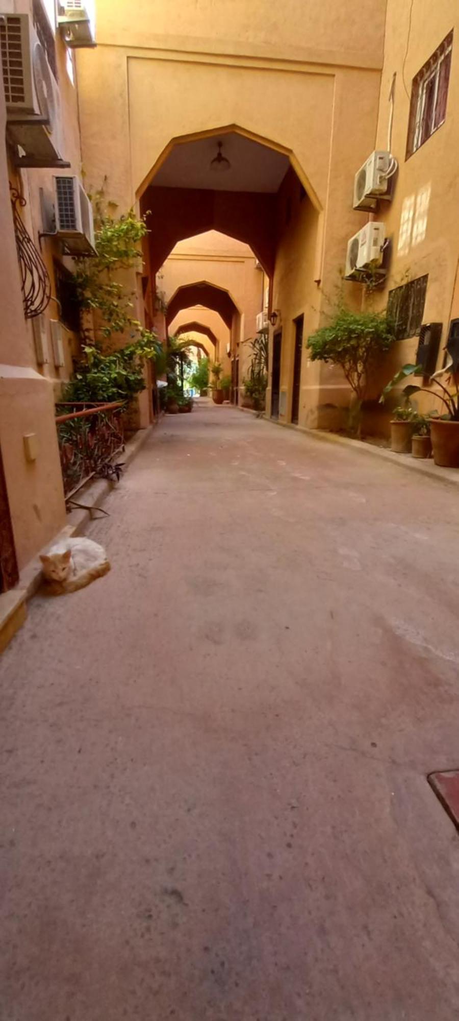 Riad Al-Bushra マラケシュ エクステリア 写真